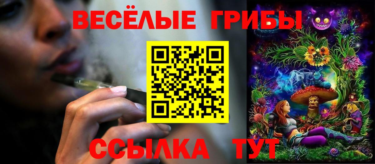 Галлюциногенные грибы мицелий  Псилоцибиновые грибы Cubensis  Великий Новгород  Вход с VPN 